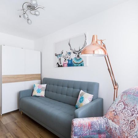 Apartament Stag Karkonosz - 2 Osobne Pokoje - 38M2 Jelenia Góra Εξωτερικό φωτογραφία